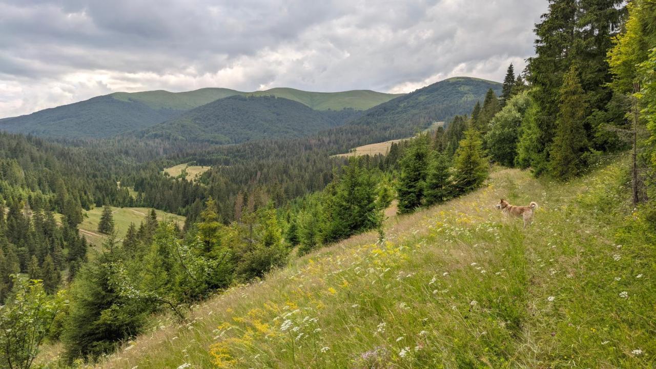 Zatishok Bilya Richky Villa Fülöpfalva Kültér fotó