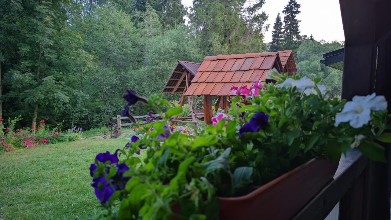 Zatishok Bilya Richky Villa Fülöpfalva Kültér fotó