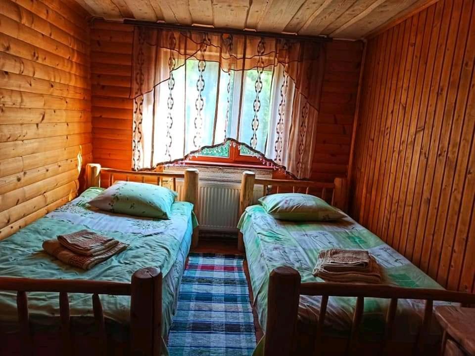 Zatishok Bilya Richky Villa Fülöpfalva Szoba fotó